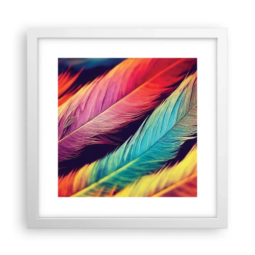 Affiche dans un cadre blanc - Poster - Arc-en-ciel de plumes - 30x30 cm