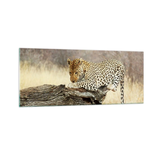 Impression sur verre - Image sur verre - Je suis ma propre route - 100x40 cm