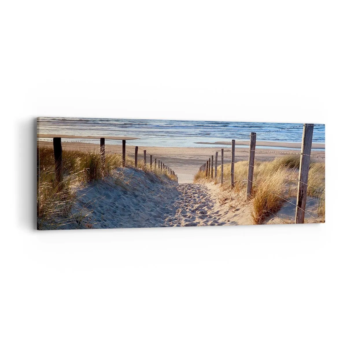 Impression sur toile - Image sur toile - Le bruit de la mer, le chant des oiseaux, une plage sauvage parmi les herbes… - 90x30 cm