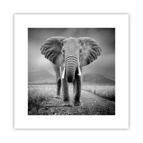 Affiche - Poster - Les hôtes vous saluent - 30x30 cm