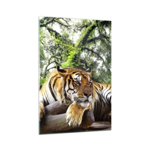Impression sur verre - Image sur verre - Un tigre se reposant dans une forêt tropicale - 70x100cm - Cordialement - Décoration murale moderne pour le salon et la chambre ARTTOR