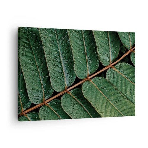 Impression sur toile - Image sur toile - Macro shot de feuilles vertes avec des gouttes de rosée - 70x50cm - Au rythme de la verdure - Décoration murale moderne pour le salon et la chambre ARTTOR