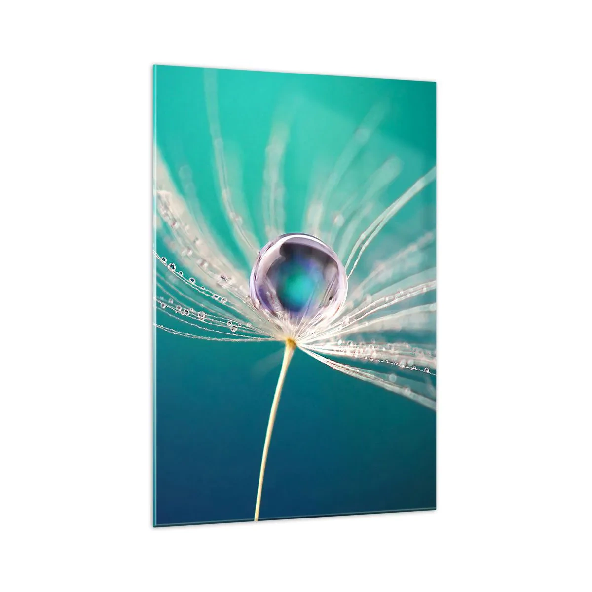 Impression sur verre - Image sur verre - Macro d'une goutte d'eau sur une délicate graine de pissenlit - 70x100cm - Moment mystique - Décoration murale moderne pour le salon et la chambre ARTTOR