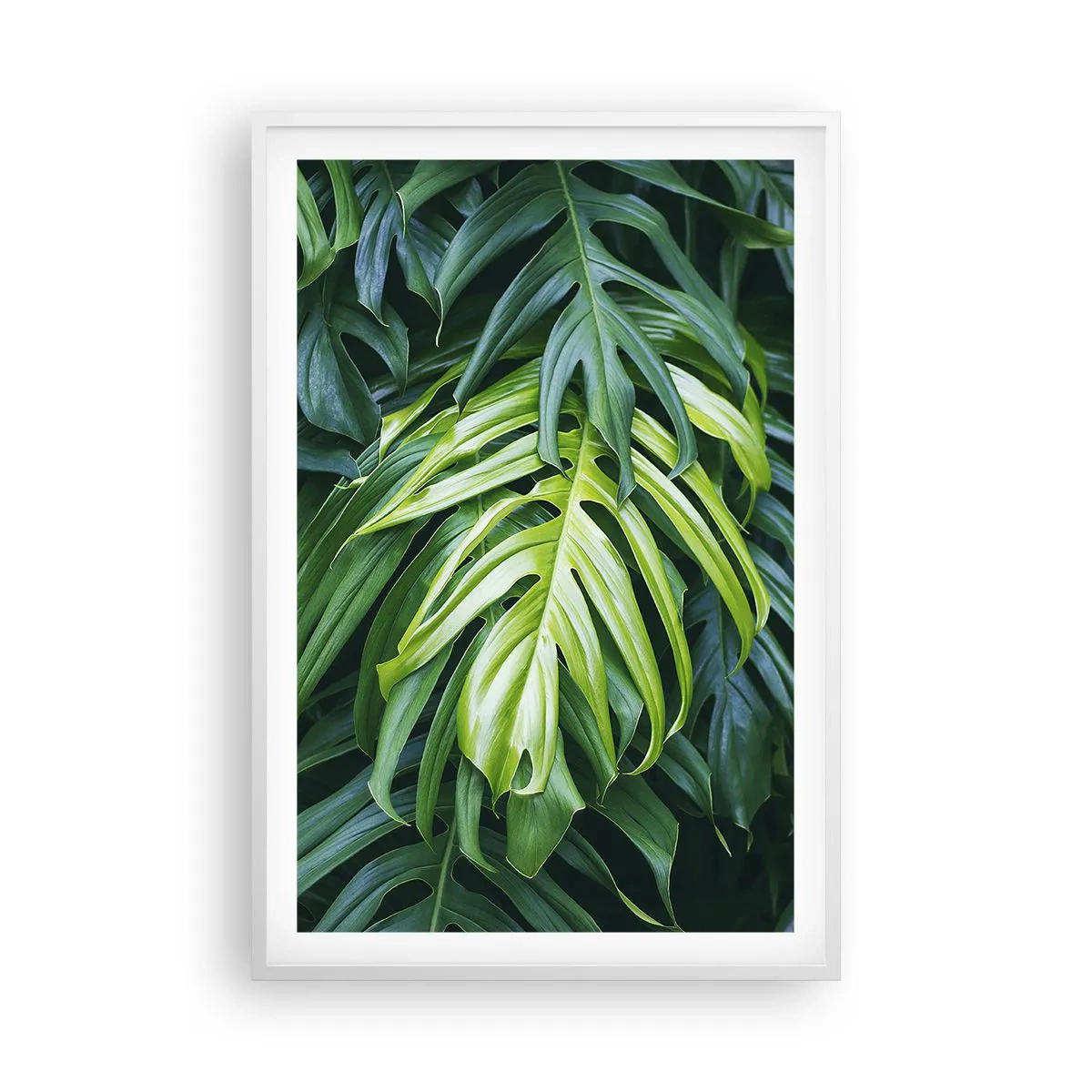 Affiche dans un cadre blanc - Poster - Immergez-vous dans la fraîcheur - 61x91 cm