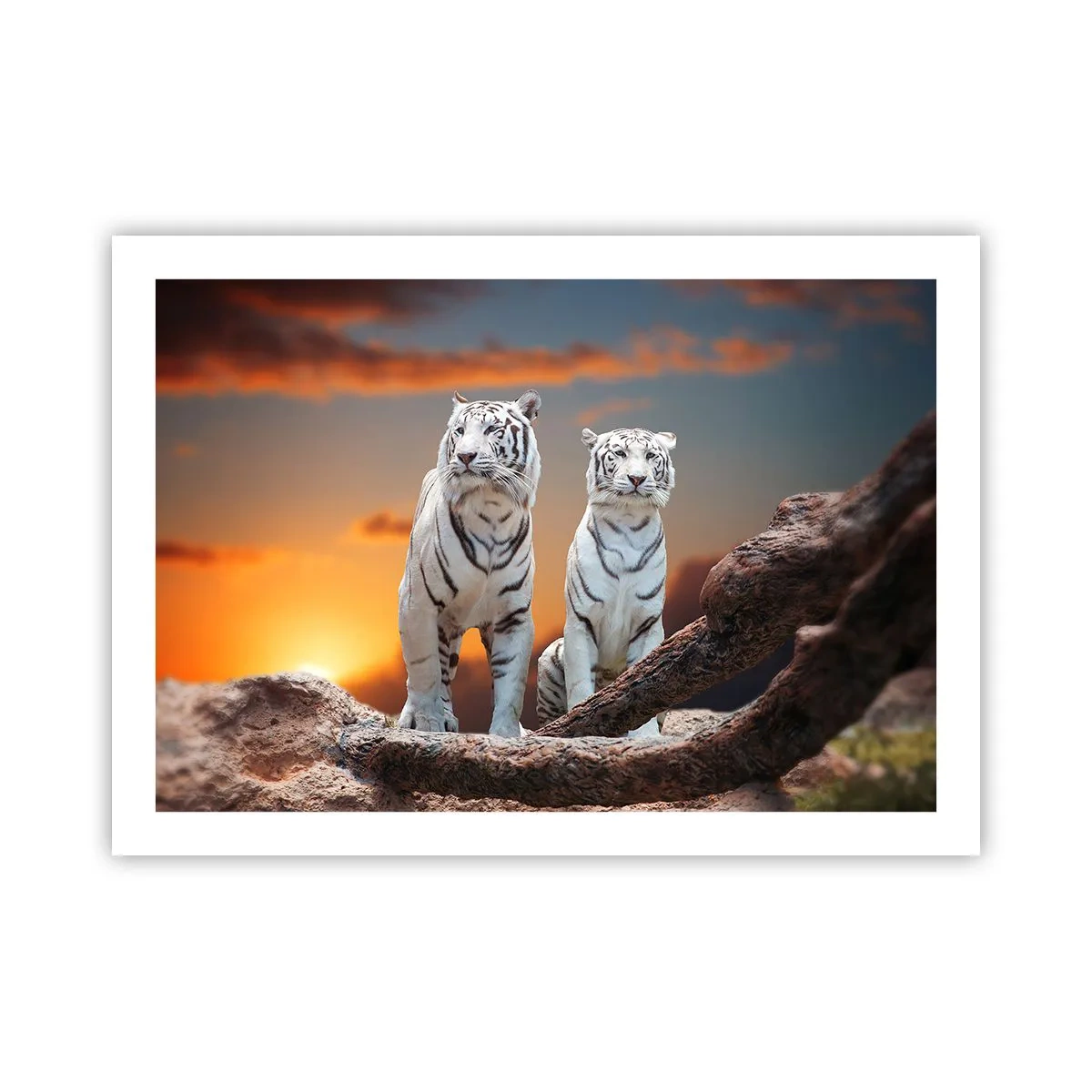 Affiche - Poster - Tout comme à Narnia - 70x50 cm