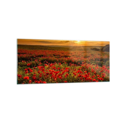 Impression sur verre - Image sur verre - Un champ de coquelicots rouges dans la lueur du soleil couchant - 120x50cm - Parmi les vagues des prairies bruissantes, parmi les fleurs du déluge - Décoration murale moderne pour le salon et la chambre ARTTOR