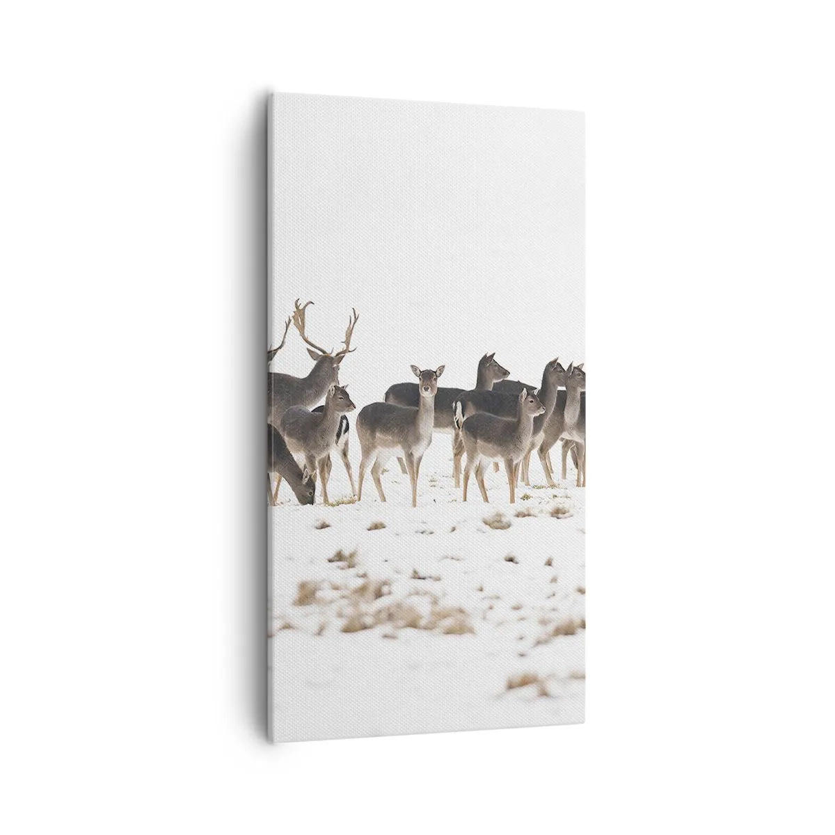 Impression sur toile - Image sur toile - Les fêtes approchent ? - 55x100 cm