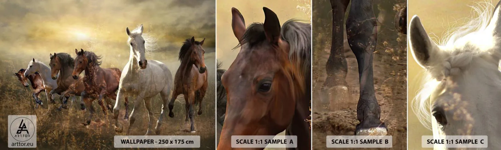 Échantillon de Papier Peint Autocollant Deluxe Sticker - Vive la liberté! - Animaux, Cheval, Galop - 100x30 cm