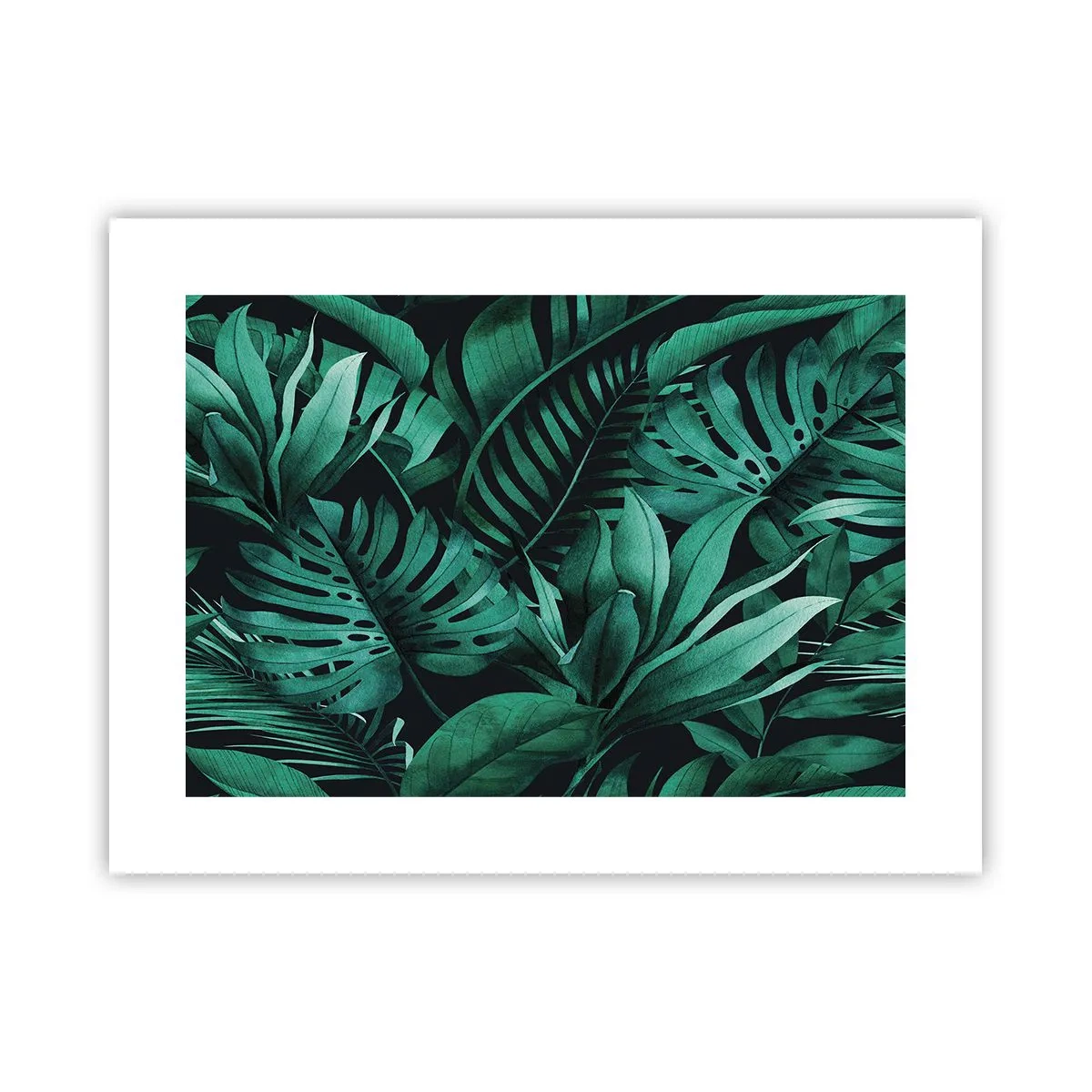 Affiche - Poster - Profondeur du vert tropical - 40x30 cm