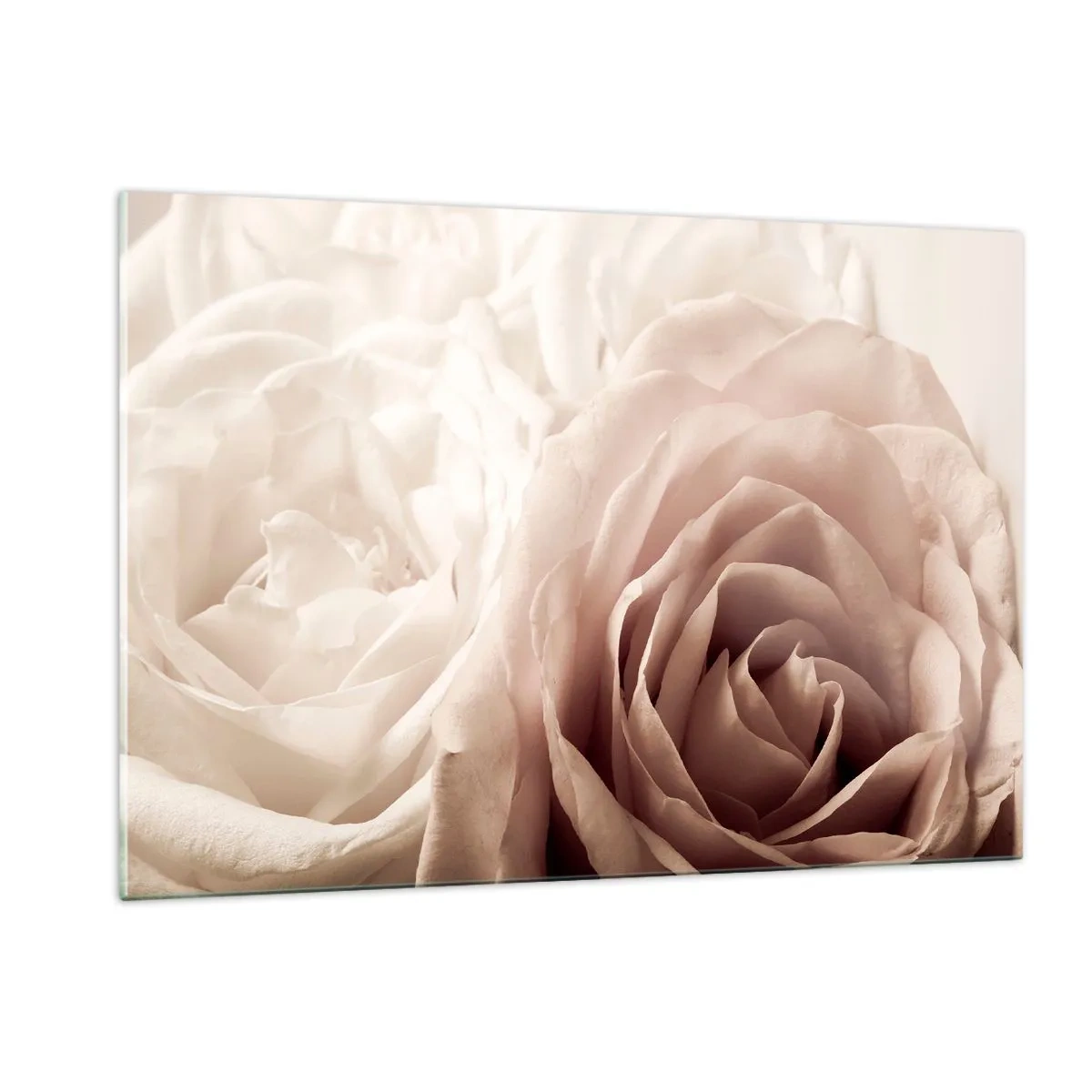 Impression sur verre - Image sur verre - De délicates roses légères dans un gros plan romantique - 120x80cm - Au coeur d'ue la rose - Décoration murale moderne pour le salon et la chambre ARTTOR