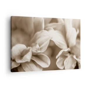 Impression sur toile - Image sur toile - Gros plan de fleurs dans un ton sépia délicat avec des contours doux - 70x50cm - Doux comme un sourire - Décoration murale moderne pour le salon et la chambre ARTTOR