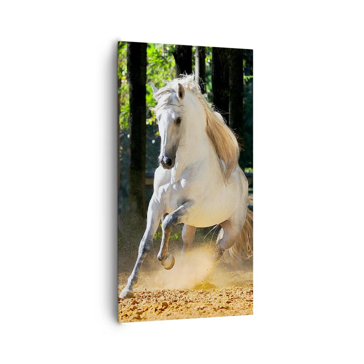 Impression sur toile - Image sur toile - Comme dans un roman fantastique - 65x120 cm