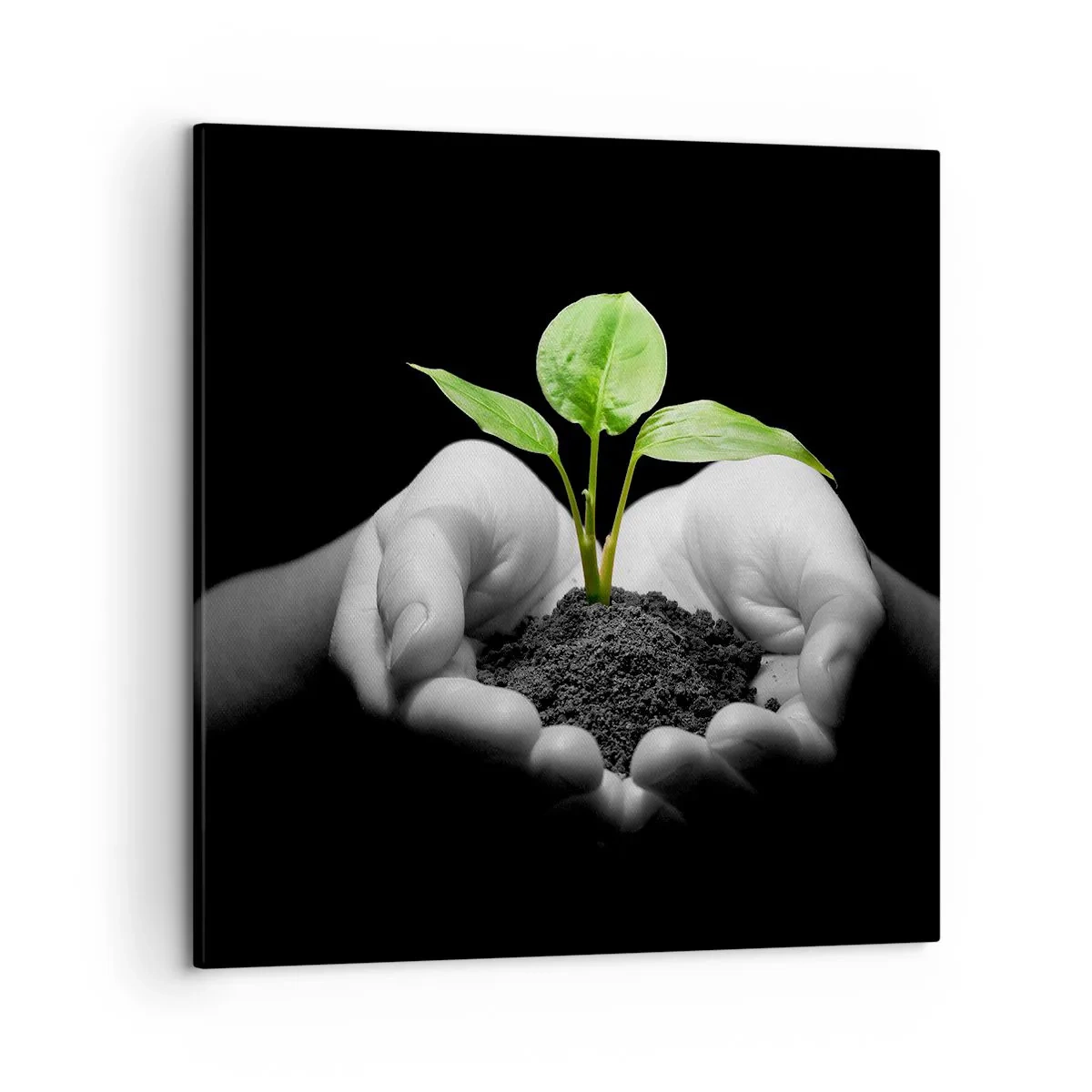 Impression sur toile - Image sur toile - J'aime la nature, je la protège - 50x50 cm