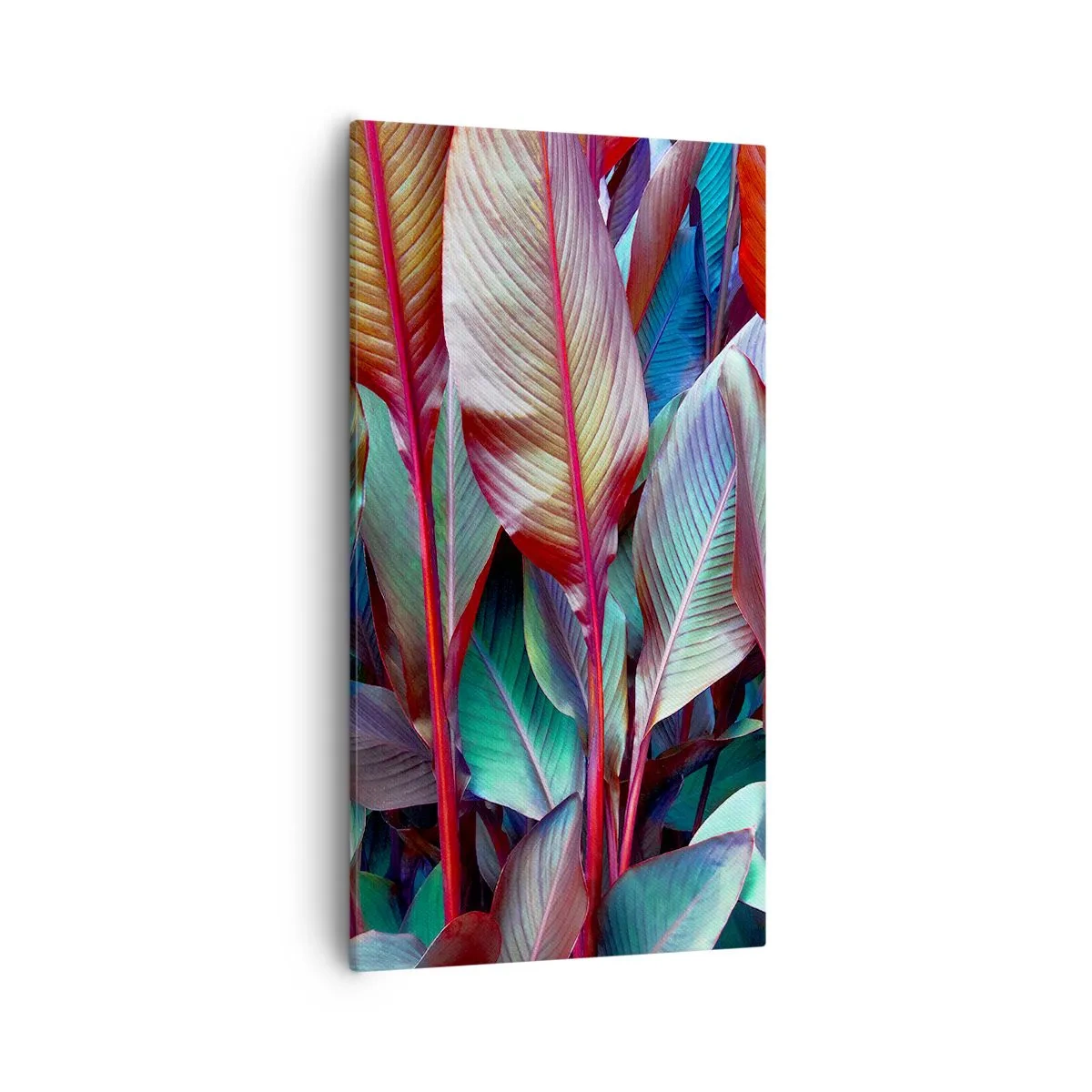 Impression sur toile - Image sur toile - Un fourré coloré - 55x100 cm