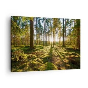 Impression sur toile - Image sur toile - Forêt verte illuminée par la lumière du soleil sur la mousse - 70x50cm - … Derrière les sept forêts - Décoration murale moderne pour le salon et la chambre ARTTOR