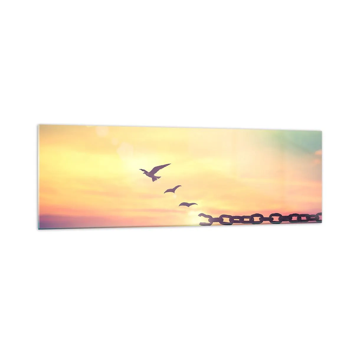 Impression sur verre - Image sur verre - Symbole de liberté avec des oiseaux et une chaîne brisée - 160x50cm - La victoire de la liberté - Décoration murale moderne pour le salon et la chambre ARTTOR