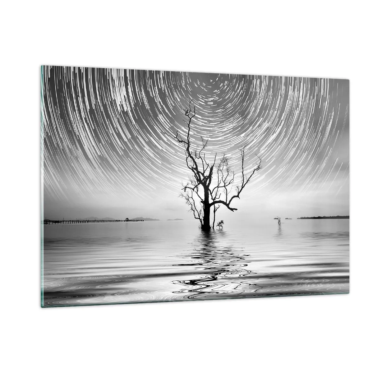 Impression sur verre - Image sur verre - Paysage noir et blanc avec un arbre et des traînées d'étoiles - 120x80cm - La symphonie de la nature - Décoration murale moderne pour le salon et la chambre ARTTOR