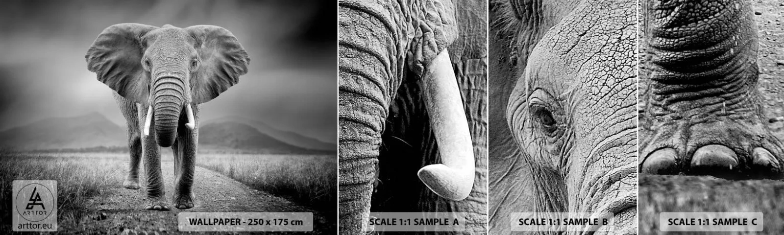 Échantillon de Papier Peint Autocollant Deluxe Sticker - Les hôtes vous saluent - Éléphant, Animaux, Paysage - 100x30 cm