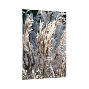 Impression sur verre - Image sur verre - Herbes gelées au soleil d'hiver - 50x70cm - Habillé de givre - Décoration murale moderne pour le salon et la chambre ARTTOR