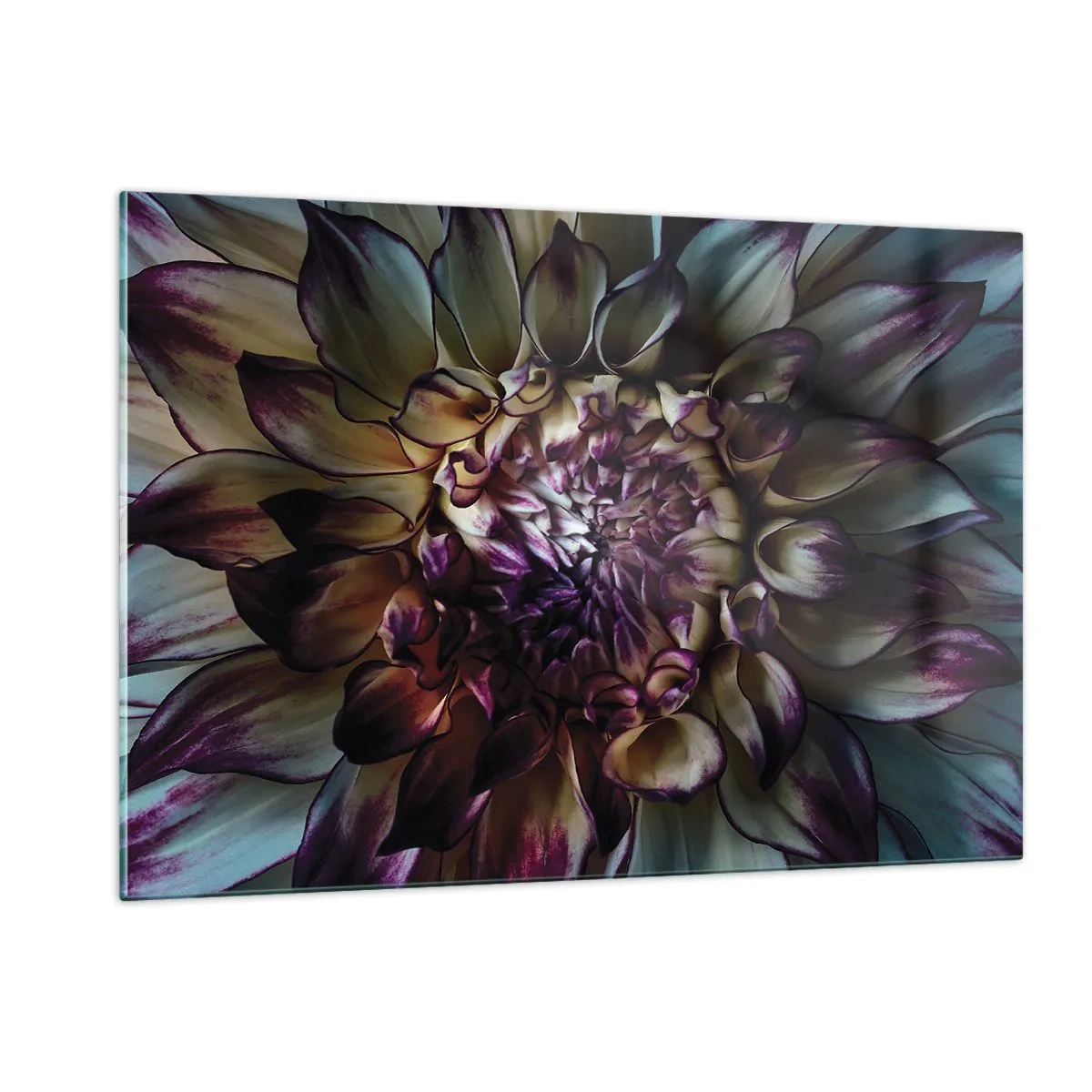 Impression sur verre - Image sur verre - Gros plan d'une fleur dans une palette de couleurs sombres - 120x80cm - L'apogée de la jeunesse - Décoration murale moderne pour le salon et la chambre ARTTOR