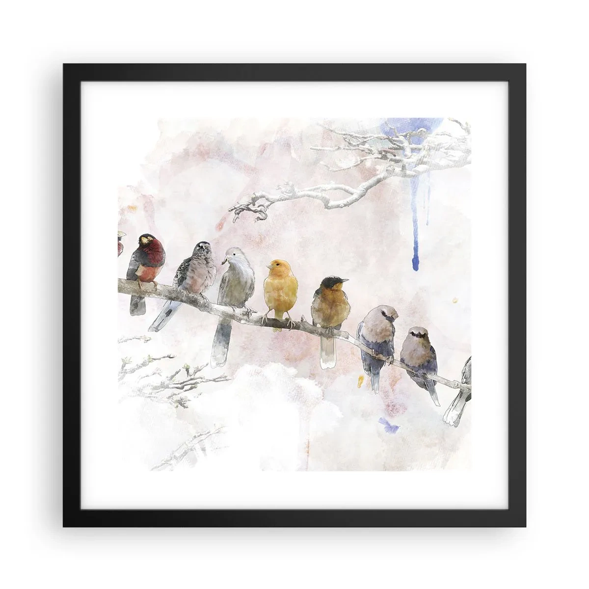 Affiche dans un cadre noir - Poster - Rencontre ailée - 40x40 cm