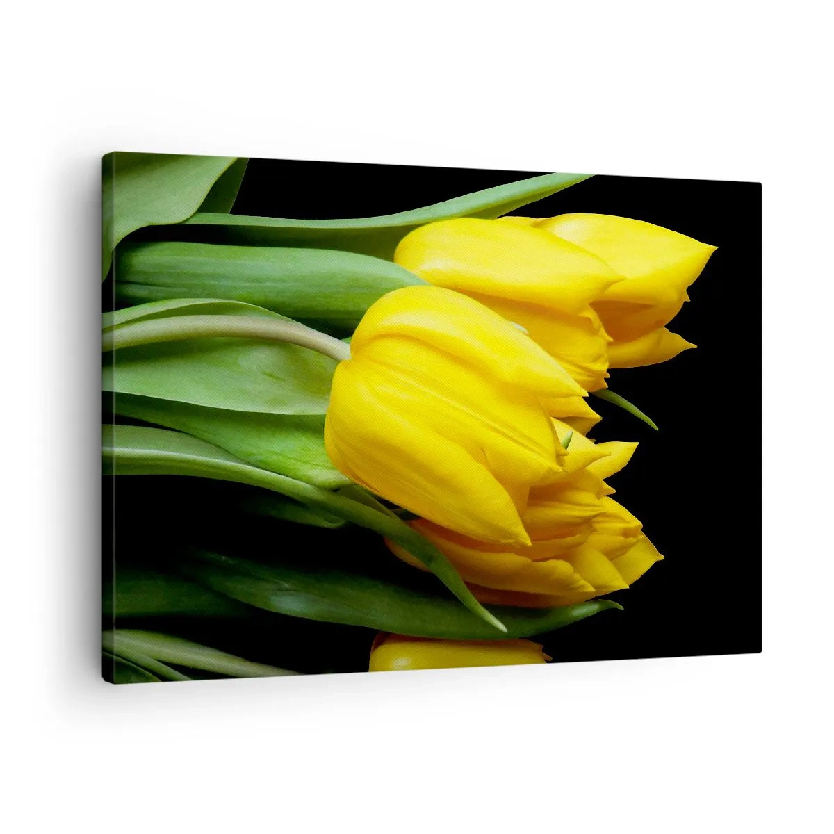 Impression sur toile - Image sur toile - Un bouquet de tulipes jaunes sur fond noir - 70x50cm - Lever de soleil pur - Décoration murale moderne pour le salon et la chambre ARTTOR