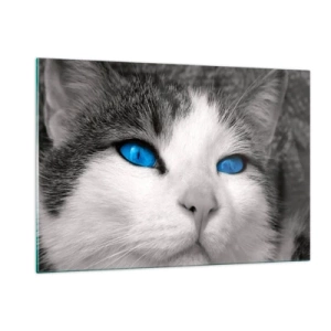 Impression sur verre - Image sur verre - Une photo en noir et blanc d'un chat aux yeux bleus intenses. - 120x80cm - Yeux bleus inhabituels - Décoration murale moderne pour le salon et la chambre ARTTOR