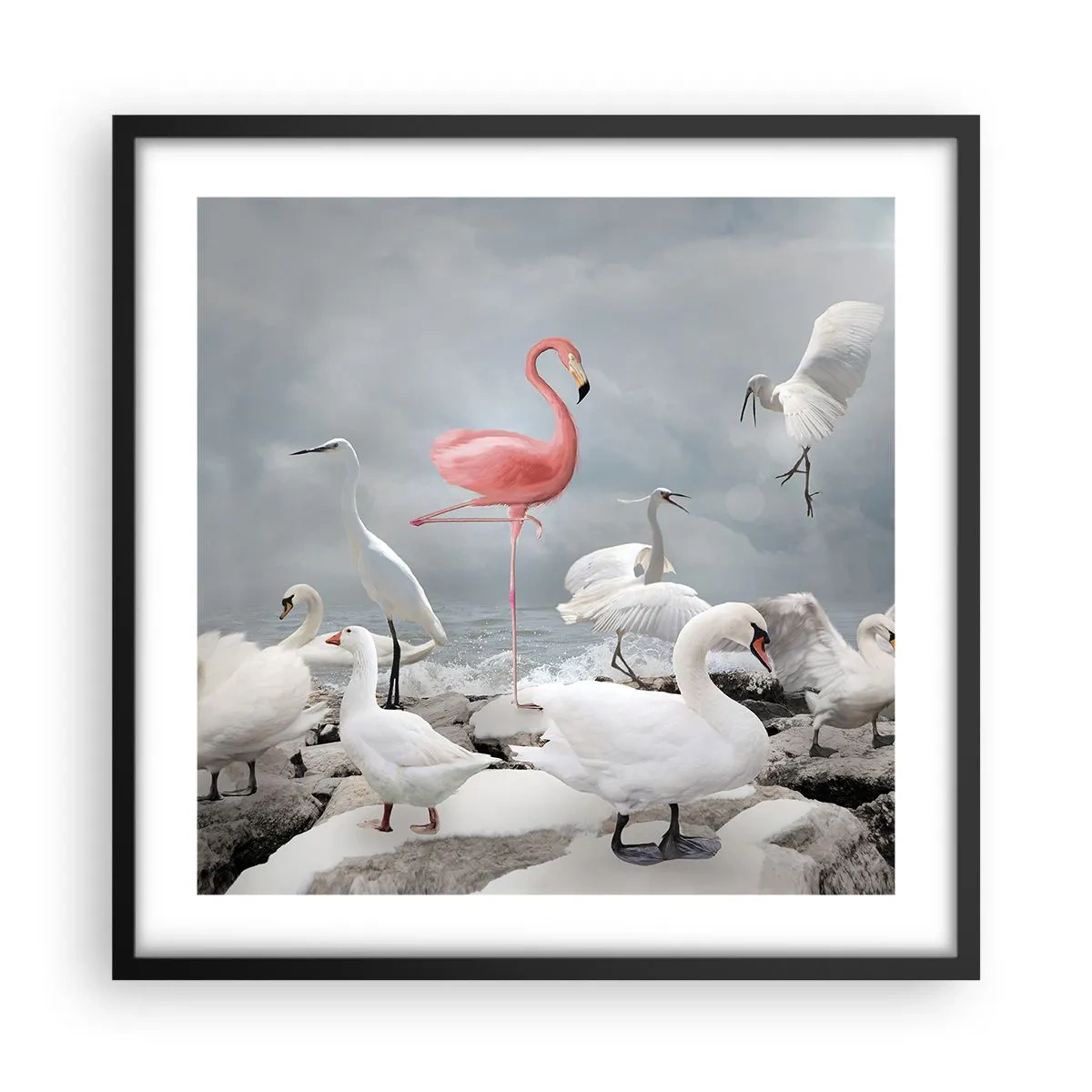 Affiche dans un cadre noir - Poster - Comment suis-je arrivé là? - 50x50 cm