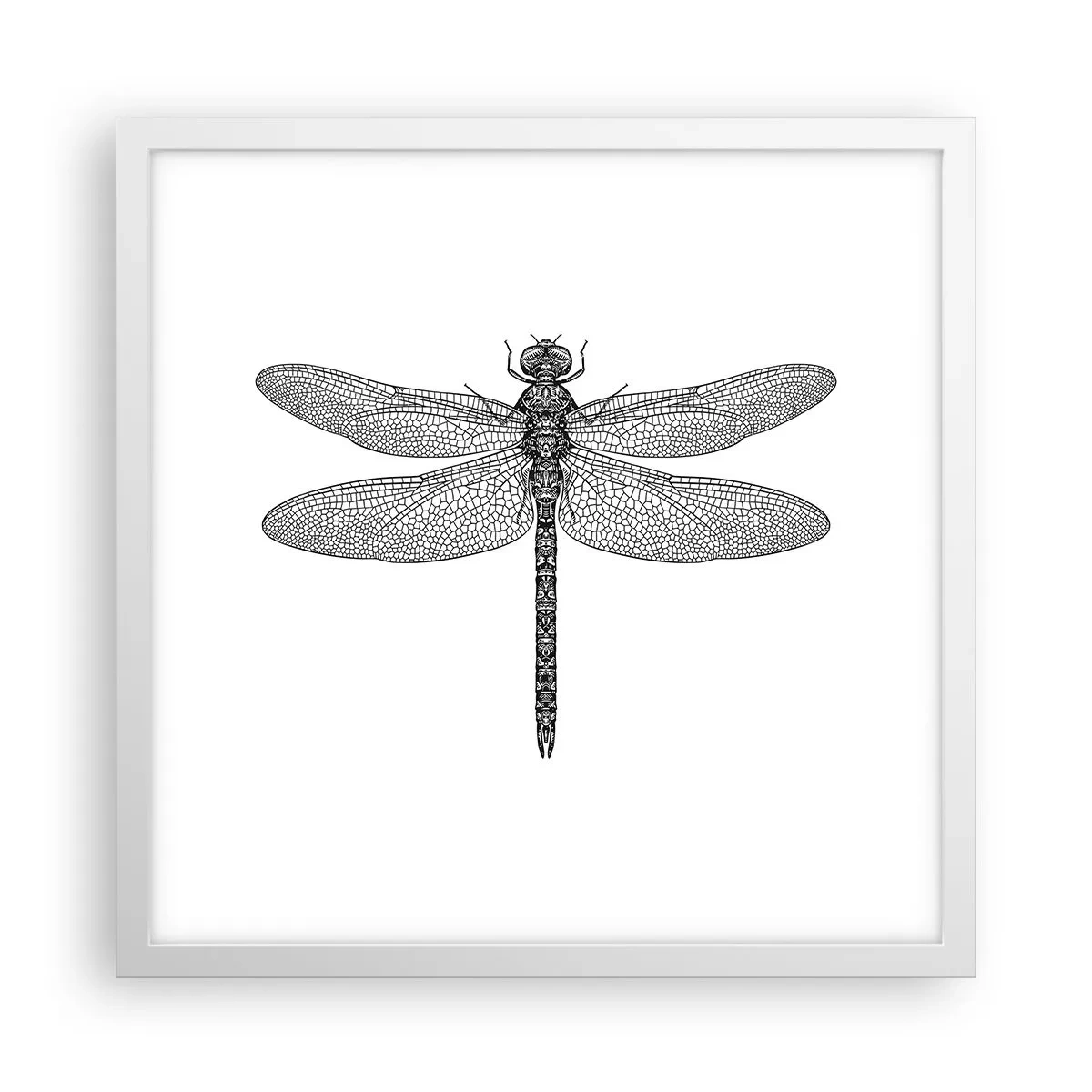 Affiche dans un cadre blanc - Poster - Précision de la nature - 40x40 cm