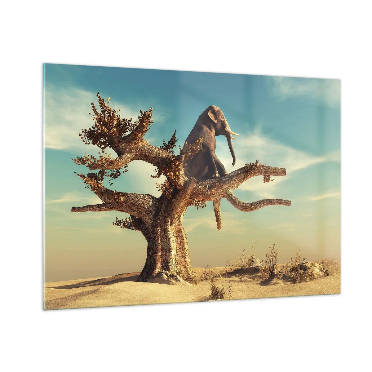 Impression sur verre - Image sur verre - Un éléphant assis sur un arbre sur fond de désert - 100x70cm - Nouveau point de vue - Décoration murale moderne pour le salon et la chambre ARTTOR