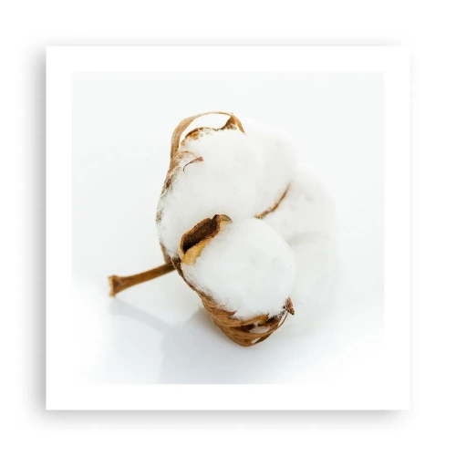 Affiche - Poster - Doux par nature - 50x50 cm