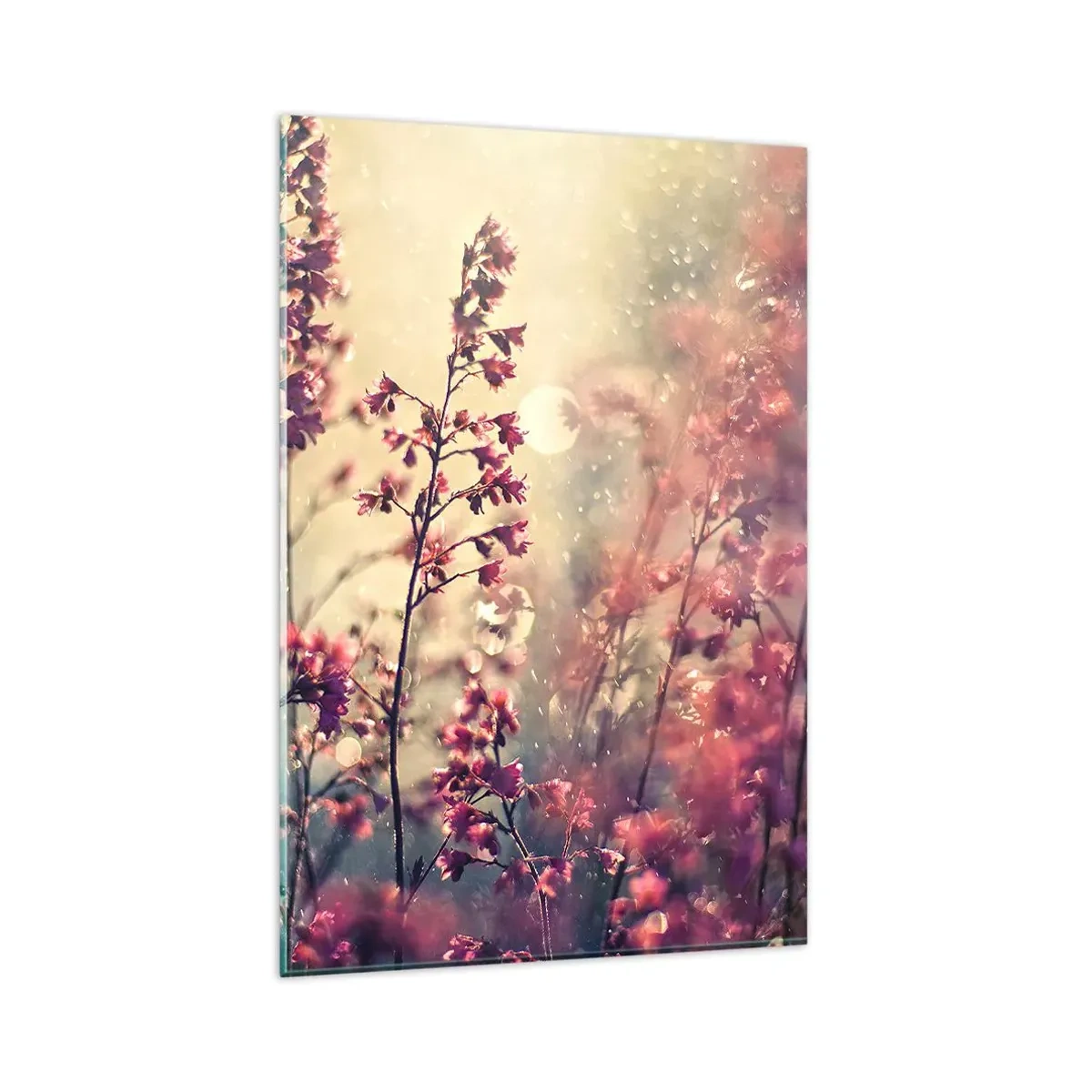 Impression sur verre - Image sur verre - Fleurs au soleil sur fond de nature - 80x120cm - Jardin secret - Décoration murale moderne pour le salon et la chambre ARTTOR