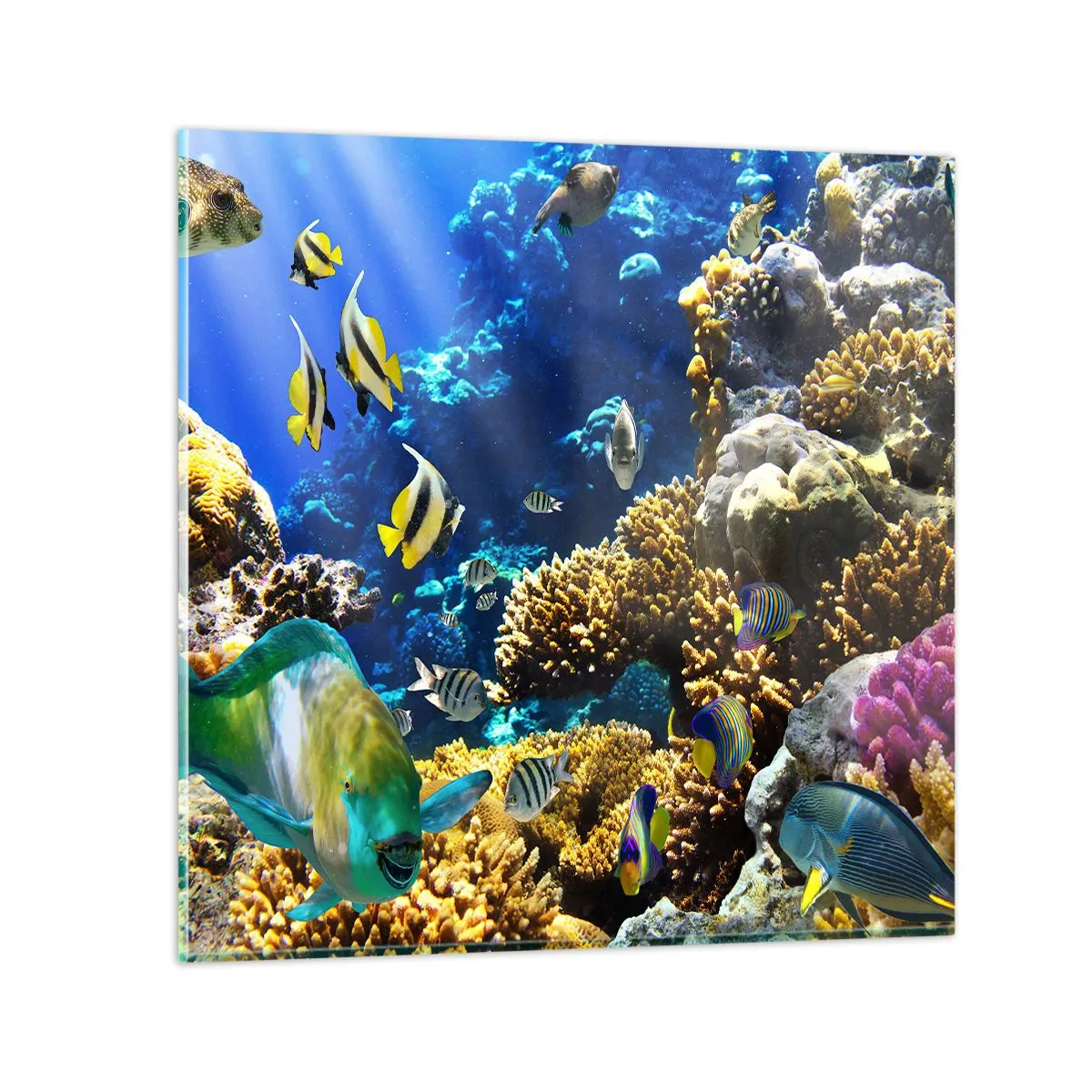 Impression sur verre - Image sur verre - Beaucoup de circulation sur la route des vacances - 60x60 cm