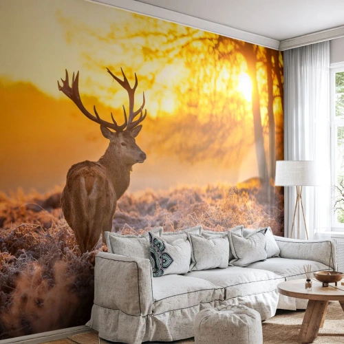 Papier Peint Autocollant Deluxe Sticker - Roi de la forêt automnal - Paysage, Cerf, Nature - 150x105 cm