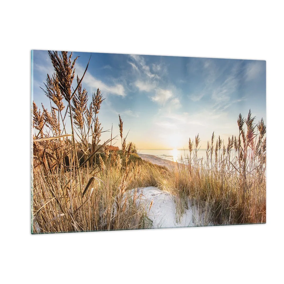Impression sur verre - Image sur verre - Coucher de soleil sur une plage avec des dunes couvertes d'herbe - 120x80cm - Plage du nord - Décoration murale moderne pour le salon et la chambre ARTTOR