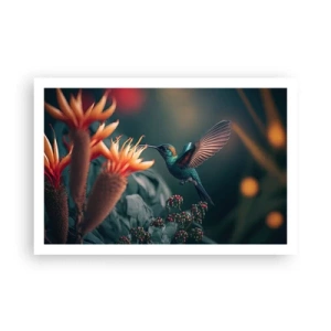 Affiche - Poster - une vie vraiment colorée - 91x61 cm