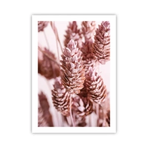 Affiche - Poster - Gros plan de fleurs séchées dans des tons de rose - 50x70cm - Apparemment discret - Décoration murale moderne pour le salon et la chambre ARTTOR