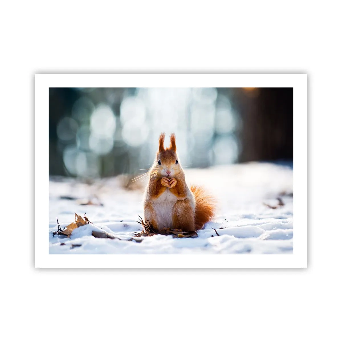 Affiche - Poster - Qu'est ce que tu regardes comme ça? - 70x50 cm