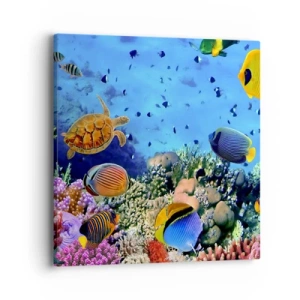 Impression sur toile - Image sur toile - Et que sait-on de la vie… - 40x40 cm