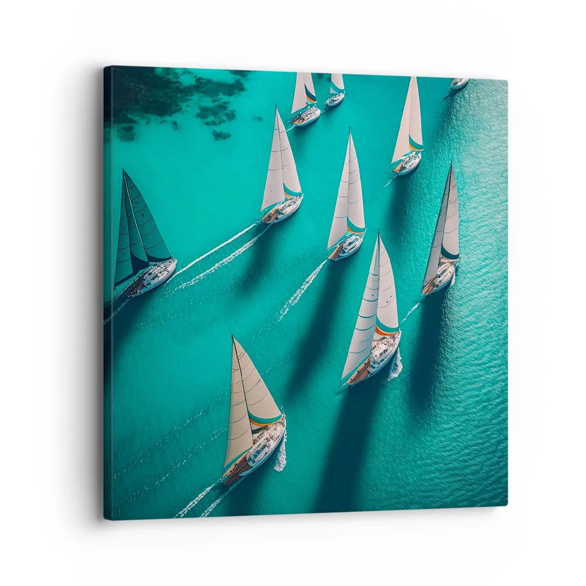 Impression sur toile - Image sur toile - Dans une compétition avec le vent - 30x30 cm