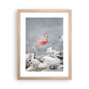 Affiche dans un chêne clair - Poster - Comment suis-je arrivé là? - 30x40 cm