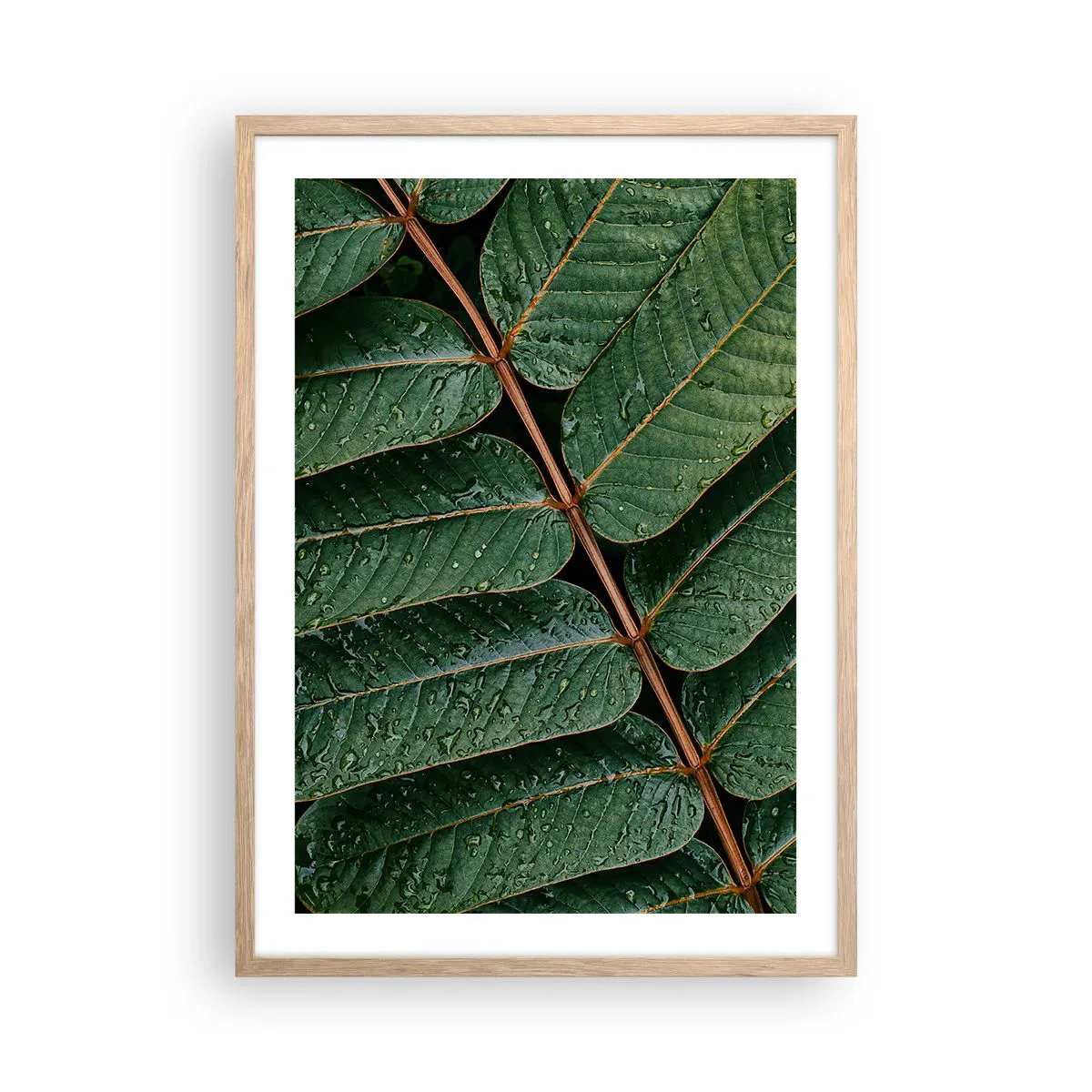 Affiche dans un chêne clair - Poster - Au rythme de la verdure - 50x70 cm