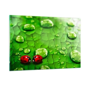Impression sur verre - Image sur verre - Deux coccinelles sur une feuille verte avec des gouttes d'eau - 120x80cm - Rendez-vous au vert - Décoration murale moderne pour le salon et la chambre ARTTOR