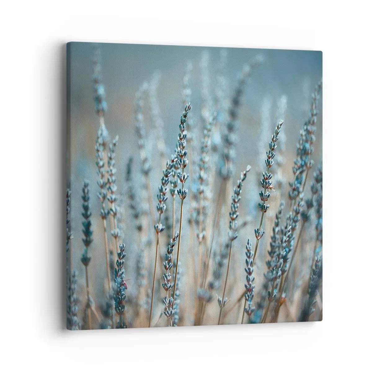 Impression sur toile - Image sur toile - Tige odorante - 40x40 cm