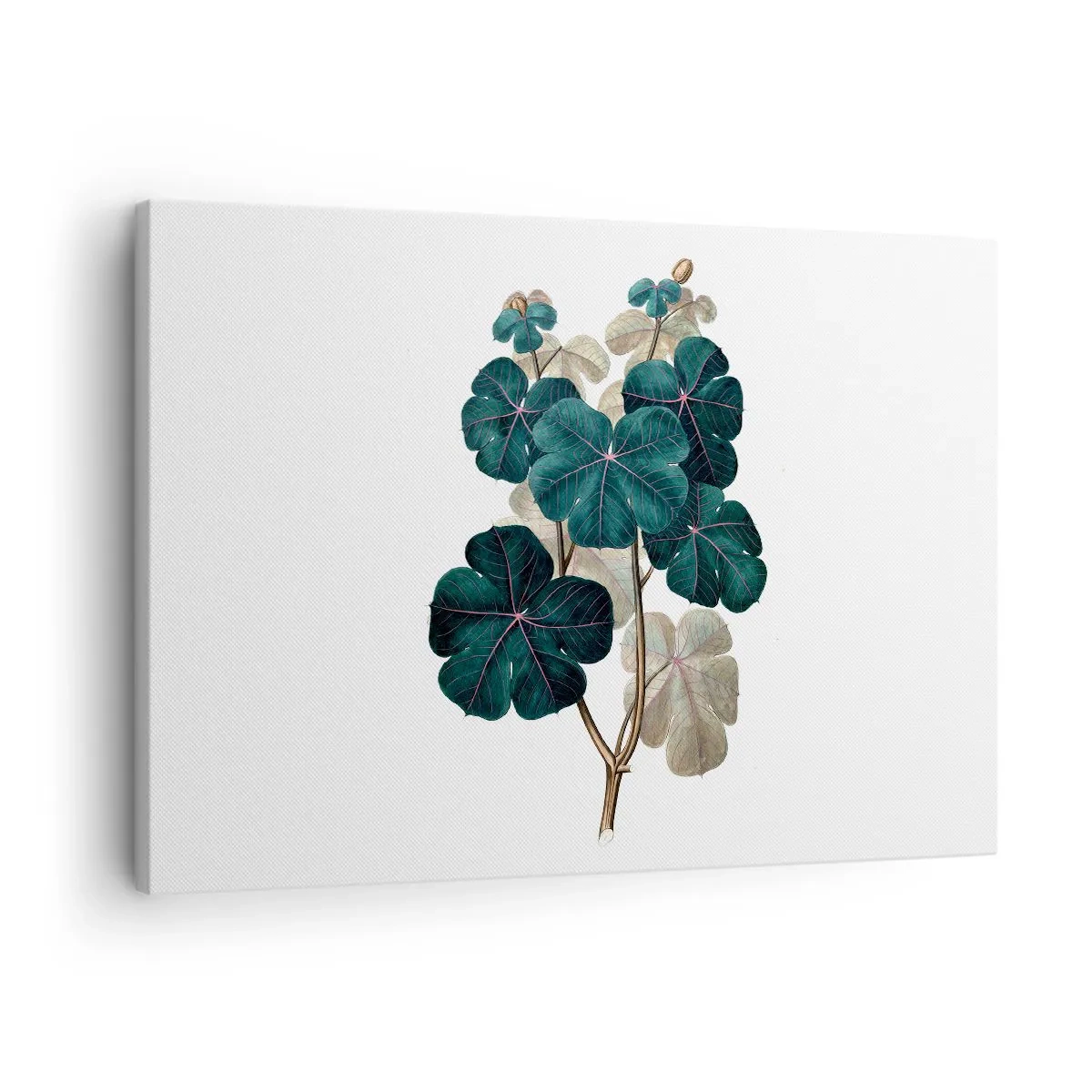 Impression sur toile - Image sur toile - Illustration botanique avec des feuilles dans les tons de vert et de beige - 70x50cm - De l'ancien herbier - Décoration murale moderne pour le salon et la chambre ARTTOR