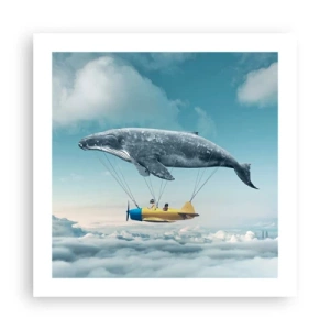 Affiche - Poster - Pourquoi pas? - 50x50 cm