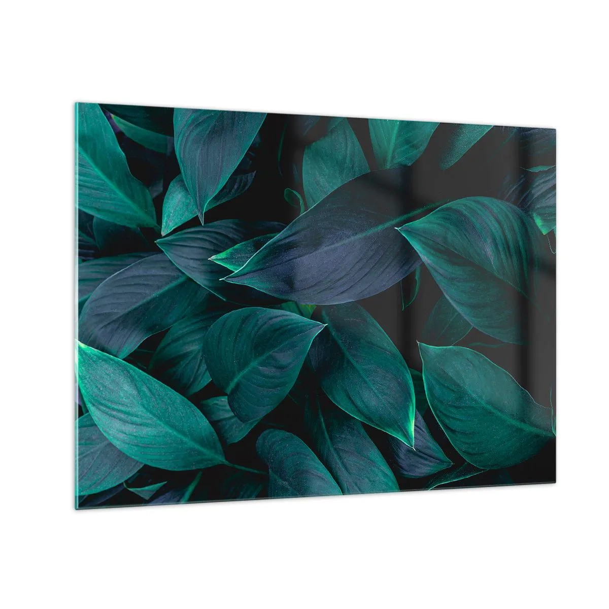 Impression sur verre - Image sur verre - Feuilles vertes denses sur fond sombre - 70x50cm - le vert lui-même - Décoration murale moderne pour le salon et la chambre ARTTOR