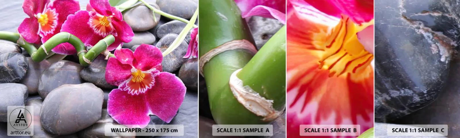 Échantillon De Papier Peint Standard Eco - Refroidir et chauffer - Fleurs, Des pierres, Orchidée - 100x30 cm