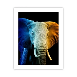 Affiche - Poster - Excentrique, pas bizarre - 40x50 cm