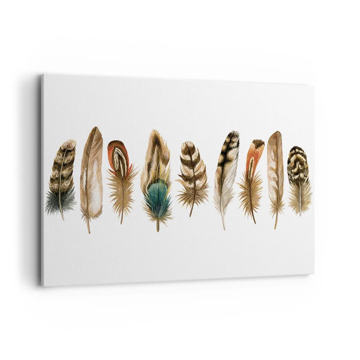 Impression sur toile - Image sur toile - Motif décoratif d'une collection de plumes diverses - 100x70cm - Variation à plumes - Décoration murale moderne pour le salon et la chambre ARTTOR